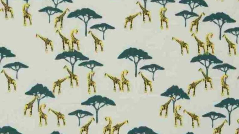 Licht groene tricot stof met giraf en bomen kopen bij Stoffenwinkel Online